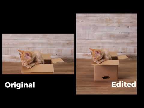 Using Photoshop Beta's Generative Layer To Create Video Backgrounds - video from Stream Creative