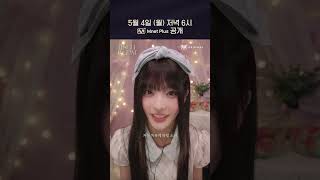 이로하의 팅글 힐링 샵에 오신 것을 환영합니다🐱🪄