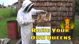 The Complete Nicot Queen Rearing System: A Step By Step Instructional Guide