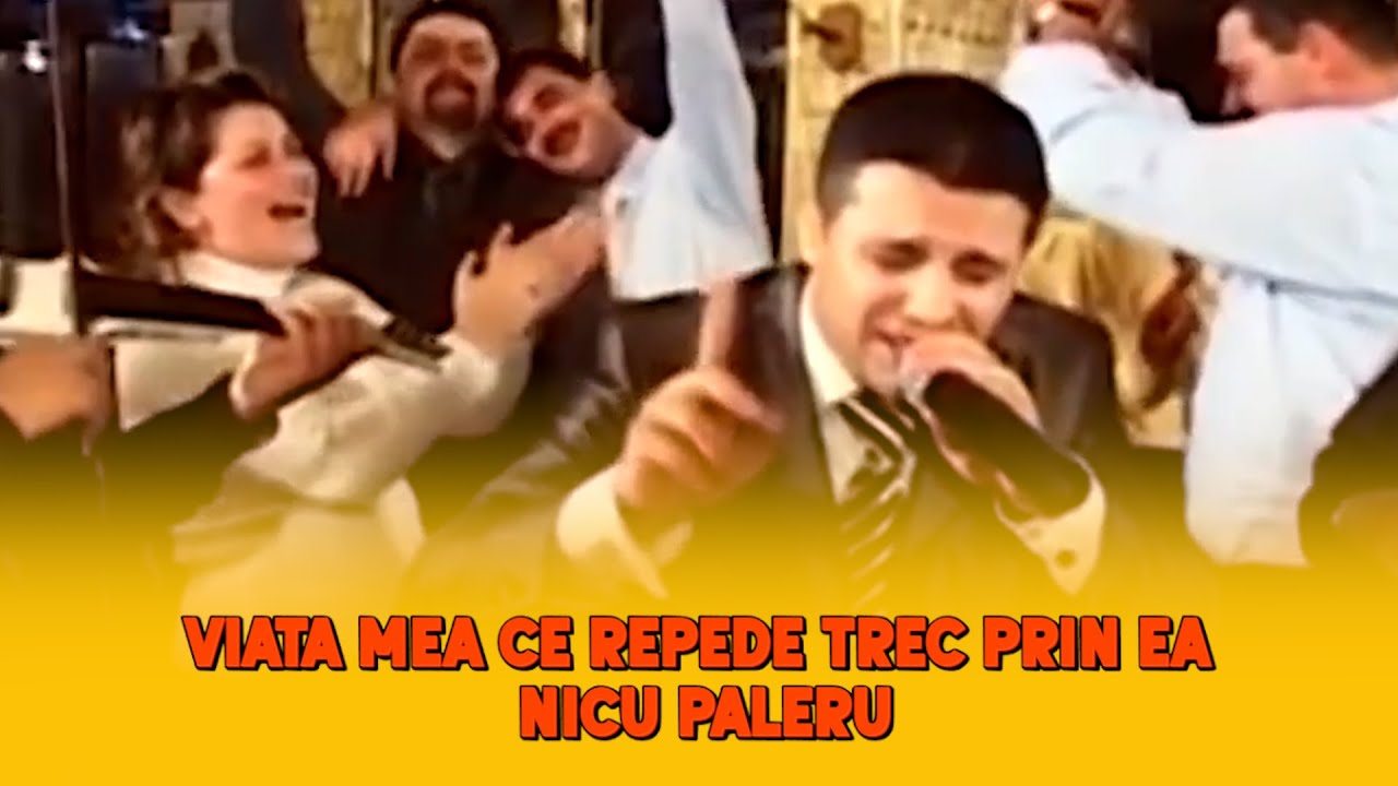 NICU PALERU - VIATA MEA CE REPEDE TREC PRIN EA! Colaj - Muzică de petrecere! 