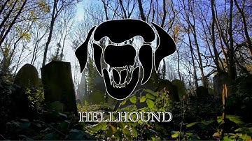 The Beastiary – Hellhound: Myth and Reality