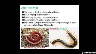 ENTO-121 Classification of Insects