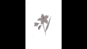 got too lazy to add watermark (who