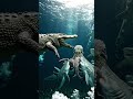 🐊 Shark vs Crocodile Battle 🦈 #Shark #Crocodile #Octopus #ViralVideo #OceanBattle #viral #instagram
