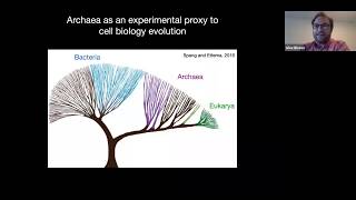 MRSEC Seminar: Cytoskeleton dynamics and function across domains of life (Alexandre Bisson)