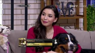 Cerita Manohara Dalam Memelihara Anjing screenshot 3