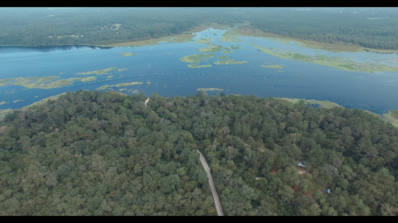 Ocala National Forest Campsites lots for Tiny House YouTube