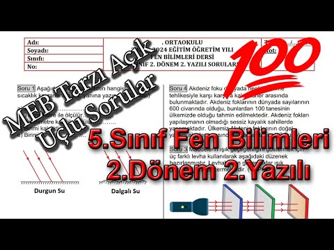 Fen Bilimleri 5.Sınıf 2.Dönem 2.Yazılı Açık Uçlu Sorular 2024