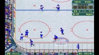 Hockey Video Game Memories: Wayne Gretzky Hockey by Bethesda Softworks -  All About The Jersey