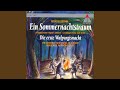 Miniature de la vidéo de la chanson Ein Sommernachtstraum: Nr. 9 Hochzeitsmarsch