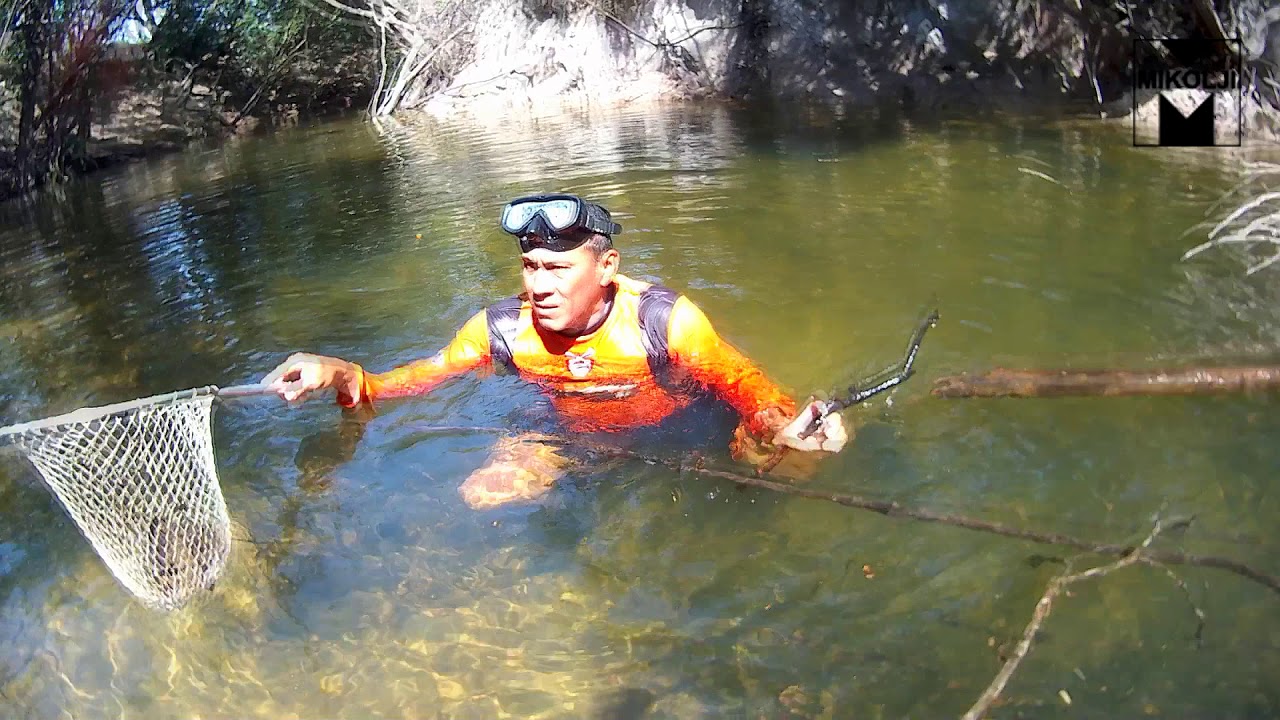Telemetria de rayas de agua dulce HD