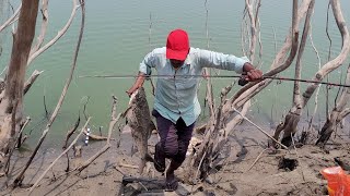 Krishna River 🎣Fish Hunting Single Hook Fishing BIG Rohu Fishes to Catching
