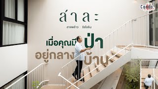 รีวิวทาวน์โฮม Sala ลาดพร้าว รัชโยธิน | เมื่อคุณมีป่า อยู่กลางบ้าน