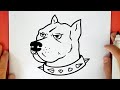 Como dibujar un pitbull