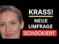 🚨 KRASS! - NEUE UMFRAGE SCHOCKIERT - ALTPARTEIEN IN PANIK - DAS IST DER GRUND! 🚨
