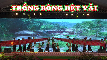 Trồng bông dệt vải
