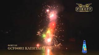 GCF040011 КАПИТАН ГУСЬ
