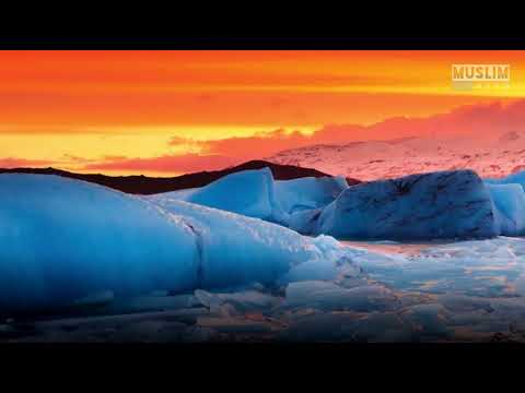 Surah Al Mutaffifin - Syeikh Hani Ar Rifai ( Arabic, indonesia, English Translations)