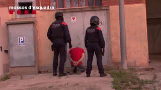 Detinguts 15 membres d'una organització que traficava amb marihuana i haixix