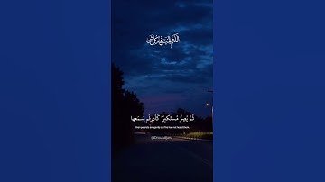 ﴿ يسمع آيات الله تتلى عليه...﴾ 🌸 ياسر الدوسري 🌸 تلاوة هادئة وخاشعة 🌸