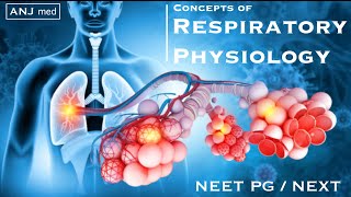 Wiebel model | dead space | Respiratory physiology | NEET PG NEXT