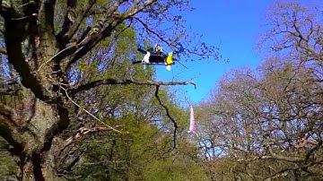 Drones to monitor ecological changes: perching drone