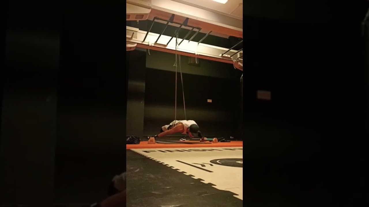 maltese planche training calisthenics workout progression