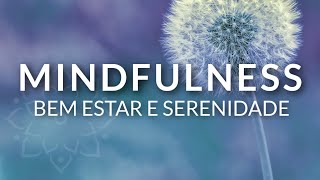 MINDFULNESS (MEDITAÇÃO GUIADA): 10 MINUTOS DE ATENÇÃO PLENA, BEM ESTAR E SERENIDADE