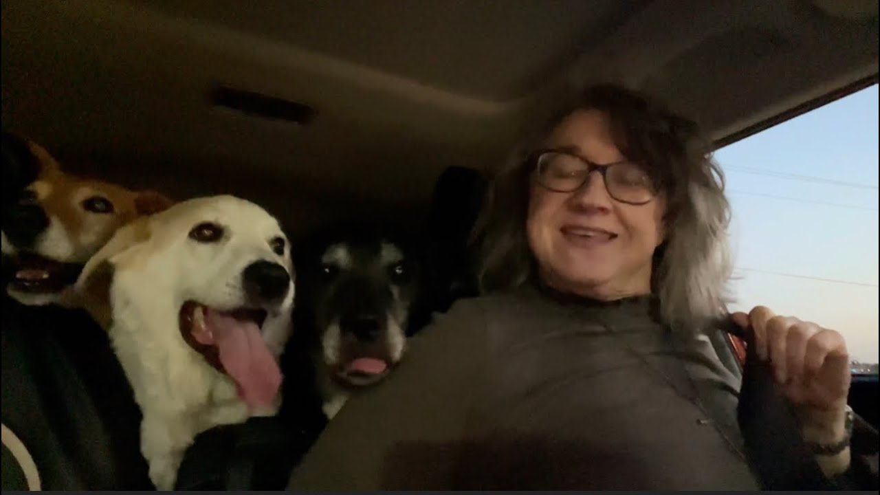 Поддерживаю потерю веса в 180 фунтов с ноября 2022 года — с упором на мясо, с низким содержанием ...