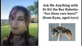 Ask Me Anything with the Bee Babette: are there rare bees?