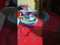 #short #shorts #shortvideos #viral #trending #foryou #@mdFaruk-u74