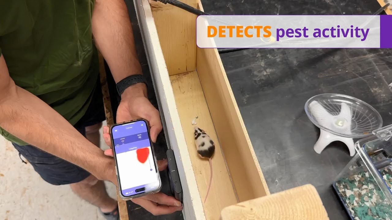 Animal detecting stud finder 🐁 