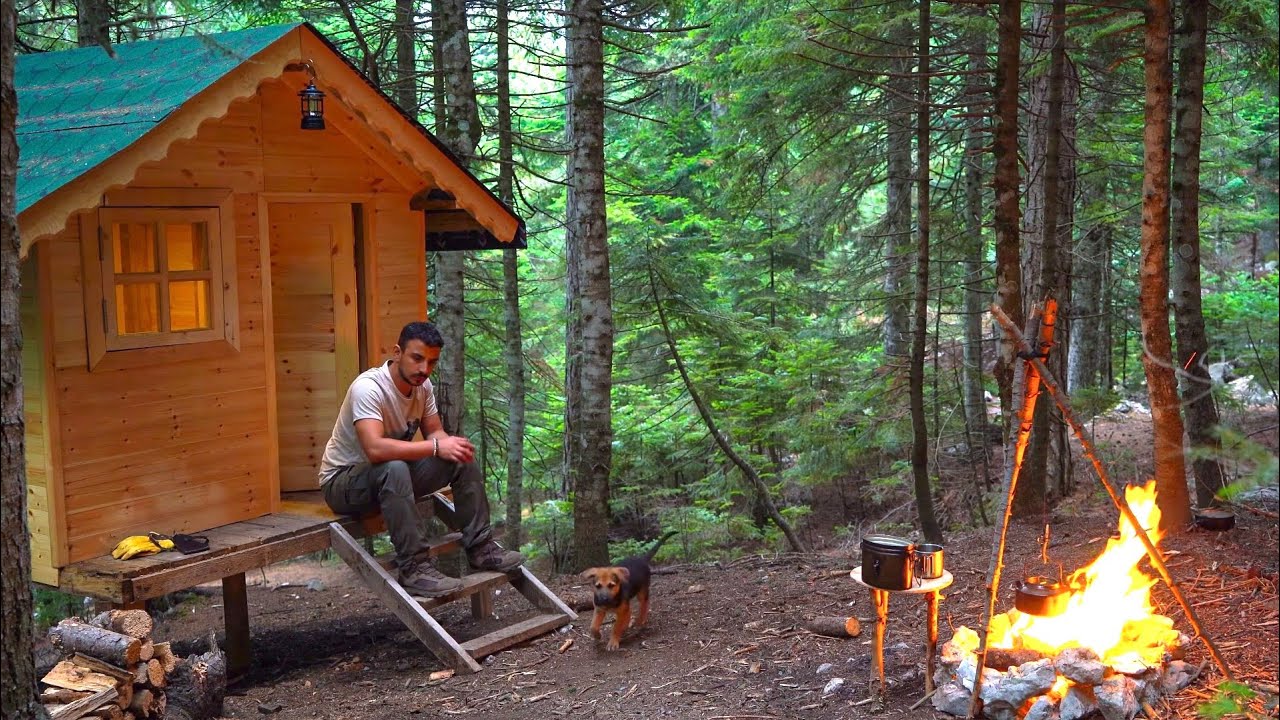 Отдых в деревянном домике с собакой - Кулинария - Звуки природы
