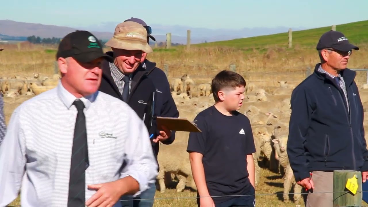 Livestock Auctioneers