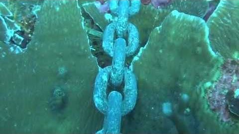 Private yacht anchor chain 34m deep on living coral Raja Ampat 2017