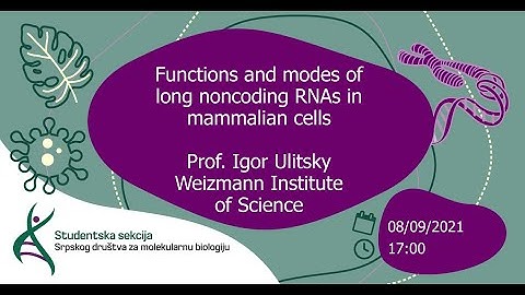 Functions and modes of long noncoding RNAs in mammalian cells
