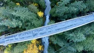 Bridge loop