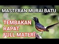 masteran murai batu full isian tembakan