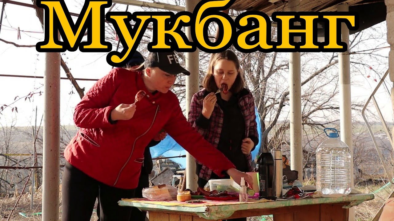 Шашлычные колбаски МУКБАНГ на природе, Кормим котов, Вечерняя пробежка ...