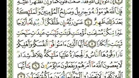 066   سورة التحريم   شيرزاد عبد الرحمن طاهر