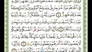 066 سورة التحريم شيرزاد عبد الرحمن طاهر