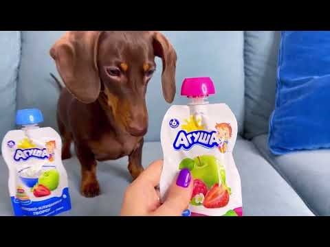 ЛУЧШАЯ ПОДБОРКА ЧАПИТОСИКОВ II Чапи выбирает❤️?