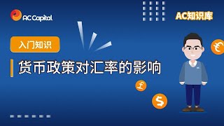 货币政策对汇率的影响 | 入门知识