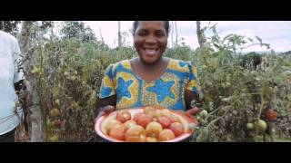 Fostering sustainable economic growth, transformation and promoting sustainable consumption and prod
