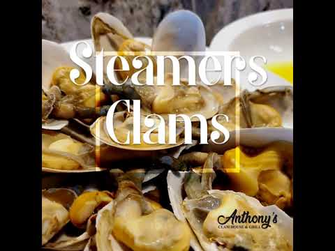 clams steamers