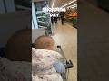 My Baby Took Over the Grocery Shopping 😅 #baby #dad #dadlife #family #parenting