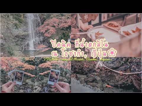 น้ำตกมิโนะ ญี่ปุ่น ชมใบไม้เปลี่ยนสี - Minoh , Osaka , Japan || เที่ยวญี่ปุ่น