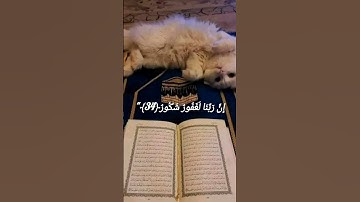 {سورة فاطر ،الآية 34}