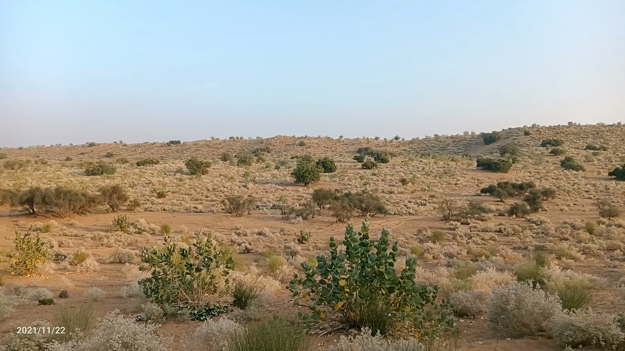 Biggest sand dunes of rajasthan in pokran