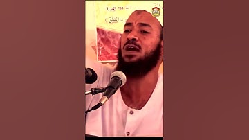 آيات واضحة كالشمس لمن يريد الحق | الشيخ أحمد البدوي